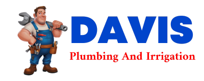 Trusted plumber in LOVELADY